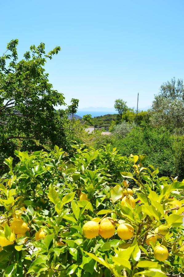Alikias Country House Panormos  Luaran gambar