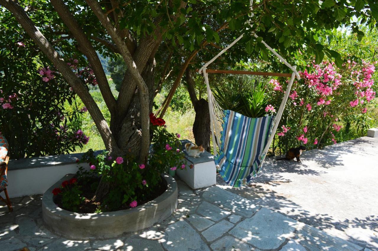 Alikias Country House Panormos  Luaran gambar