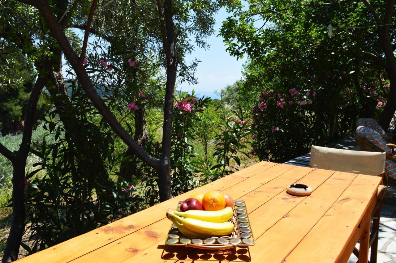Alikias Country House Panormos  Luaran gambar