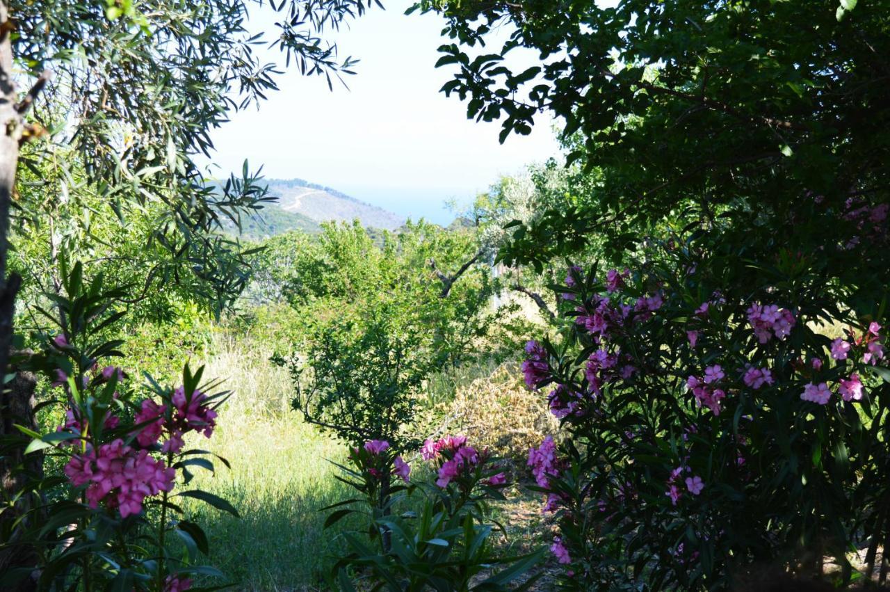 Alikias Country House Panormos  Luaran gambar