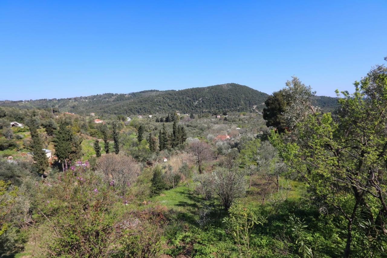 Alikias Country House Panormos  Luaran gambar